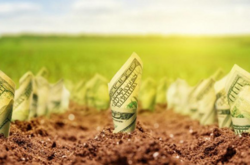 Більше противників ринку землі у південних та східних регіонах