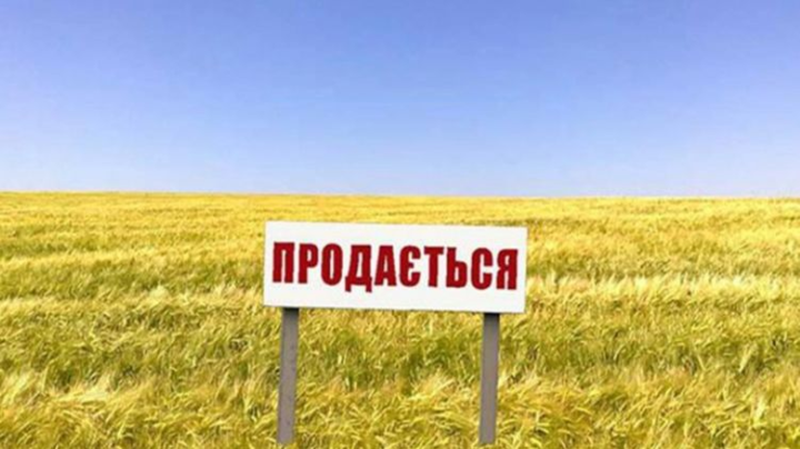 Более половины украинцев поддерживают рынок земли – опрос 