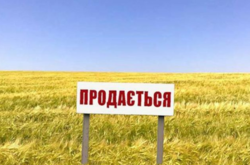 Более половины украинцев поддерживают рынок земли – опрос 