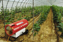 Виробники тепличних овочів в Україні опинилися на грані краху: стала відома причина