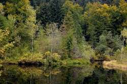 В Україну повертається осіння прохолода