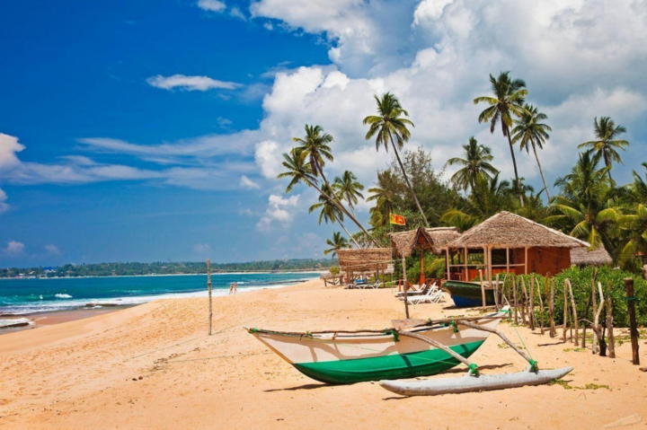 Шри-Ланка отменяет ПЦР-тесты для некоторых туристов 