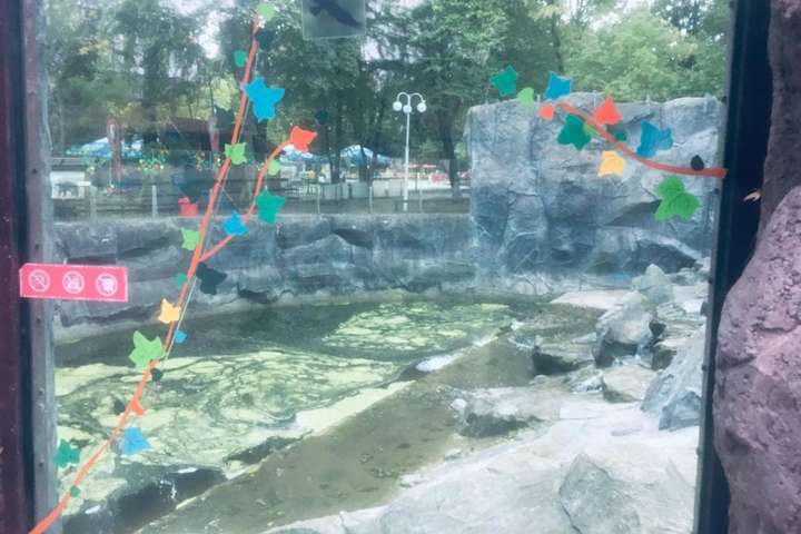 У Київському зоопарку тріщини на склі вольєра з ведмедями «поремонтували» аплікаціями (фото)
