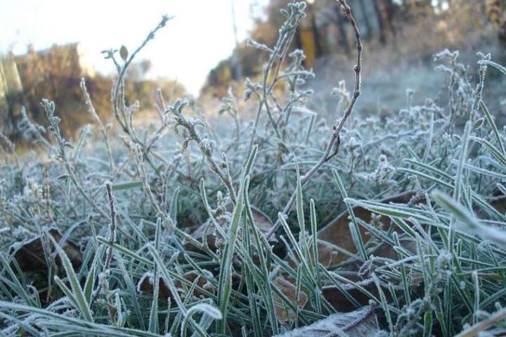 Синоптики попереджають про заморозки на Київщині