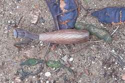 Закавказький деревний богомол зеленого або жовтувато-бурого кольору