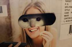 Когда наглых котиков обнаружили там, где их вообще не ждали. Курьезные фото