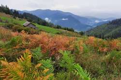 Вихідні будуть сонячними