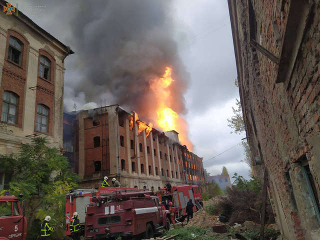 На Закарпатті масштабна пожежа: горів колишній завод (фото, відео)
