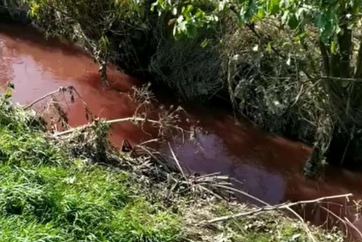 Во Львовской области потекла «кровавая» река (видео) 