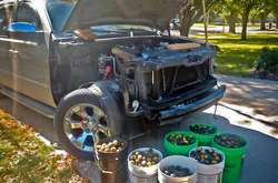 Водитель нашел неожиданный клад под капотом своего автомобиля. Курьезные фото