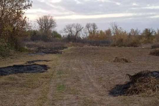 Житель Луганщини загинув через спалювання трави 
