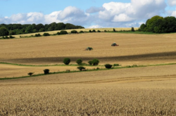 Стало известно, когда цена на землю в Украине резко пойдут вверх 