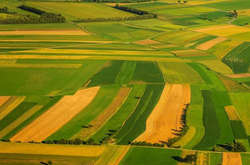 Україна – друга у світі за площею земель, що контролюють іноземні інвестори. Чим це небезпечно