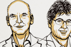 Нобелевскую премию по химии получили ученые «за разработку асимметричного органокатализа» 