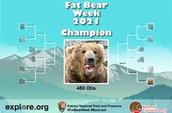 За підсумками «Тижня товстого ведмедя» переможцем став 25-річний Отіс