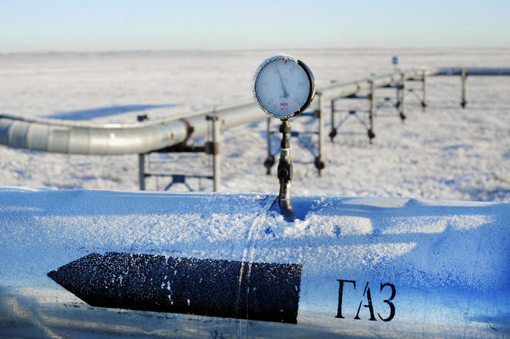 «Газпром» розраховує на «хорошу» зиму, бо багато горобини на деревах