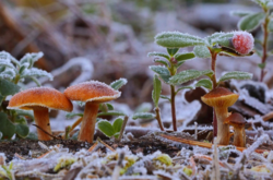  Днем на севере страны будет +10º...+13º, а ночью 0º...+2º 