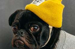 Как сохранить идеальную укладку под шапкой