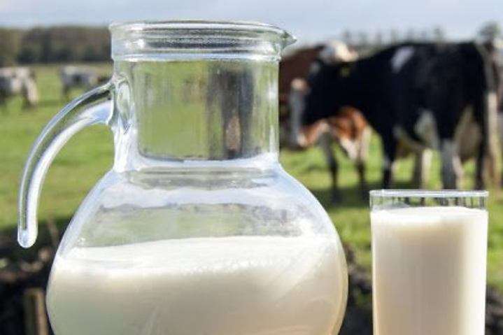 Молоко стрімко дорожчає по всьому світу. Продовольча організація ООН назвала причини 