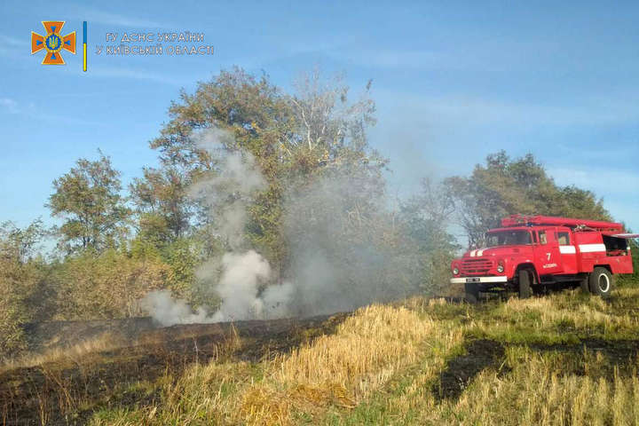 Київ у димовому полоні: у передмісті горить трава та сухостій (фото)