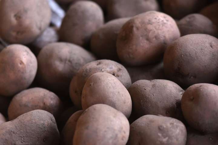 Українці купляють картоплю вп’ятеро дорожче, ніж вона йде на експорт