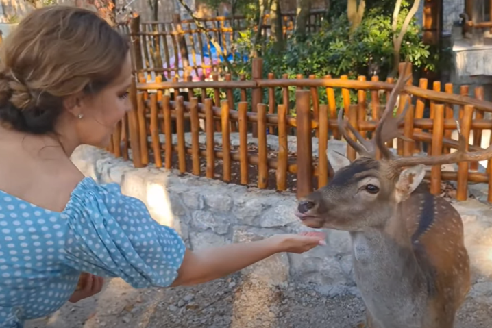Зоопарк или храм? Марченко удивила анонсом нового сезона «Паломницы» (видео) 