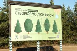 Керівництву Луганщини плювати на ситуацію з лісами області