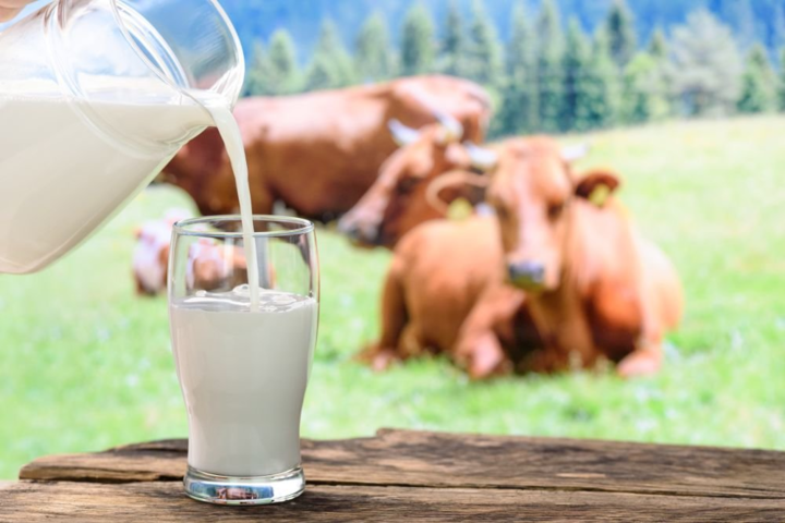 В Великобритании фермеры сливают молоко в канализацию из-за нехватки фур 