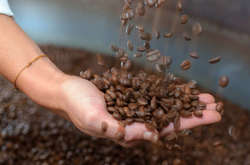 Кава стане дорогим задоволенням: чому ціна буде зростати