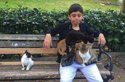 Когда мечтал об уединении и спокойствии, но не тут-то было