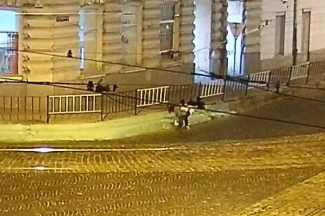 Поліція Львова шукає жінку, яка посеред ночі пофарбувала бордюри (відео)