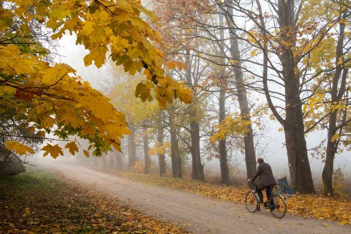В Україну йде похолодання: прогноз погоди на 19 жовтня