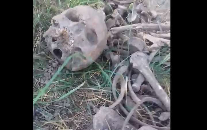 На цвинтарі для тварин під Сумами знайдено людські рештки (відео)