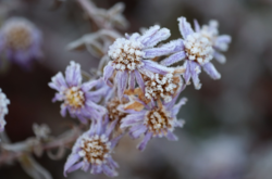 22 октября: какой сегодня праздник, приметы и запреты