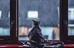  Последняя неделя октября будет холодной 