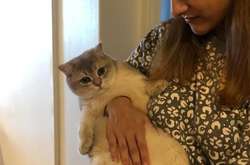 Когда обычные ситуации случайно выдали матрицу, в которой мы живем