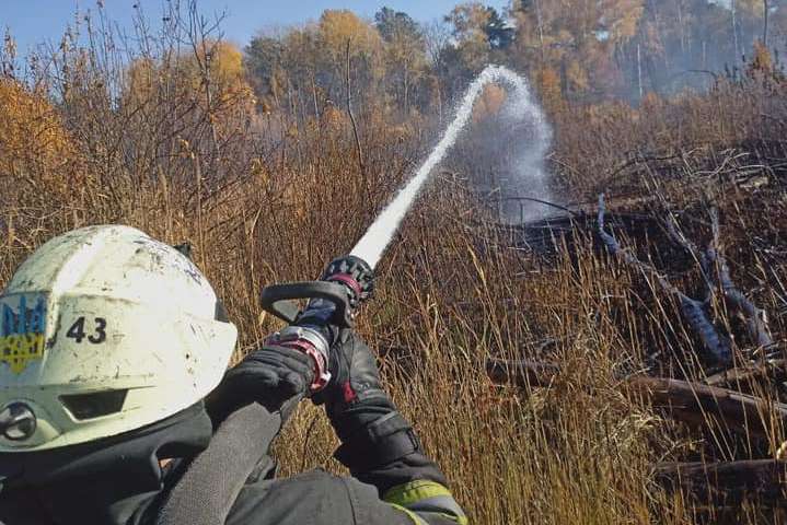 Пожежа на околиці Києва: вогнем охоплено близько 5 тис. кв. м 
