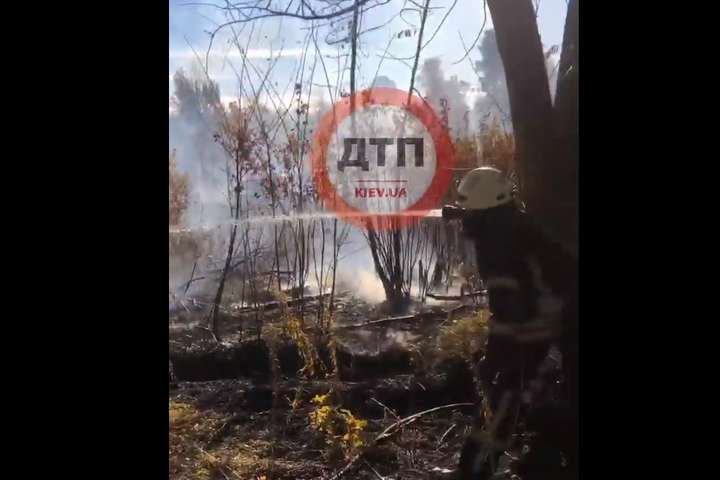 Рятувальники ліквідували масштабну пожежу на околиці Києва (відео)