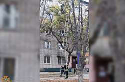 У Нікополі рятувальники зняли з дерева вагітну жінку