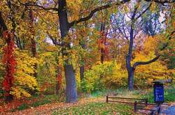 Погода в Україні у неділю, 24 жовтня буде прохолоднішою, ніж днями раніше