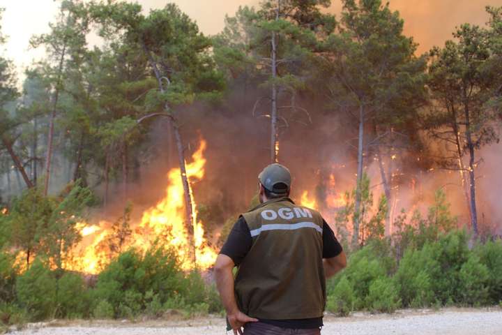 Хто влаштовує лісові пожежі в Туреччині? Поліція затримала групу росіян