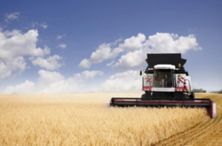 Рынок земли в Украине работает несколько месяцев