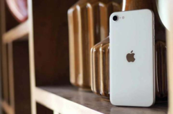 Новый бюджетный iPhone: появилась первая информация