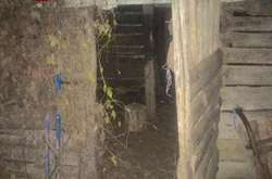 Діти гралися сокирою