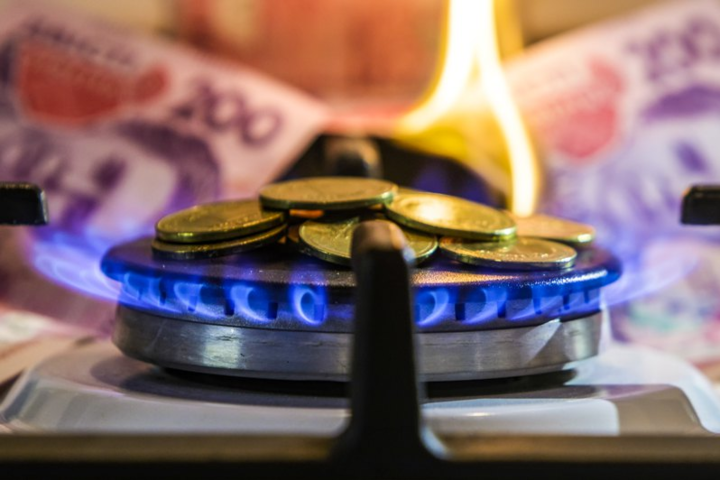 Меньше 8 грн за куб: ряд компаний снизили годовые цены на газ
