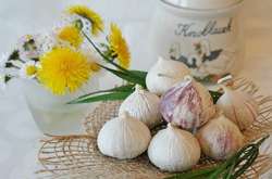 Часник знов дорожчатиме. Експерти пояснили, чому