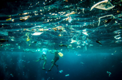Ученые подсчитали число частиц микропластика в океане