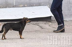 Військкомати перейменують. Яку назву пропонує уряд 