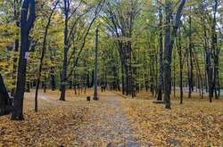 П’ятниця буде без опадів