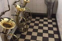 Эти ванные и туалеты с диким дизайном поражают воображение. Курьезные фото